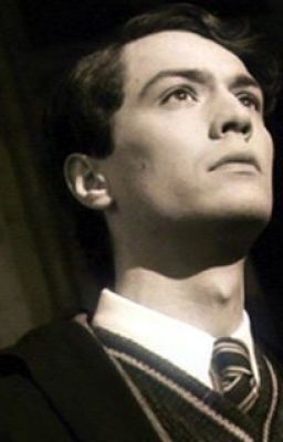 Хроники профессора Риддла