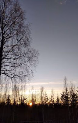 Жизнь