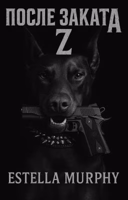 После Заката Z