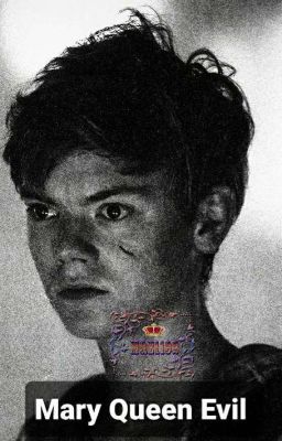 Сборник Воображалок БВЛ