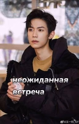 Неожиданная встреча