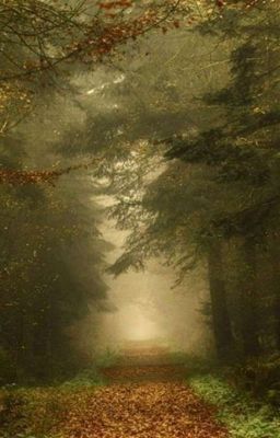 Четыре Строки 