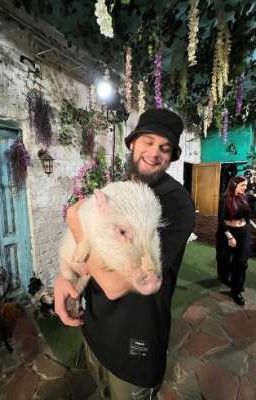 взгляд//данила горилла