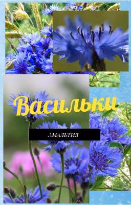 Васильки