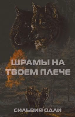 Шрамы на твоём плече