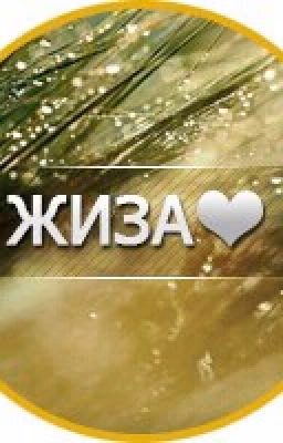 Цитаты