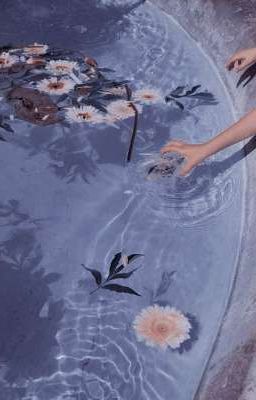 Взаимный Чтение и Подписки