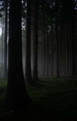 Не ужели это не сон? 