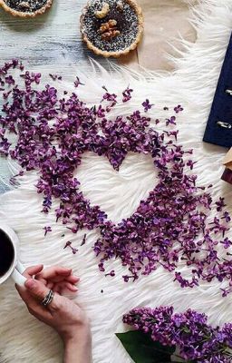 Статусы🌙Стихи🌙Истории