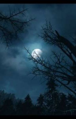 Ванесса Колкинс: Перед рассветом