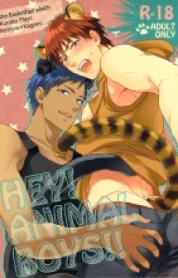Kuroko no Basket : Приключение Альфы и Омеги.