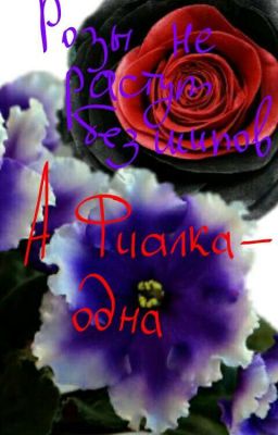 Розы не растут без шипов, а фиалка - одна