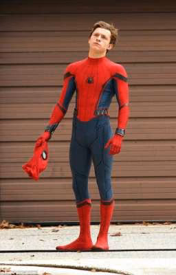 Помощь Паучку. 🕷️