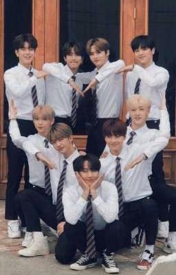 Жизнь Stray Kids..