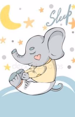 🐘Тихое место🐘