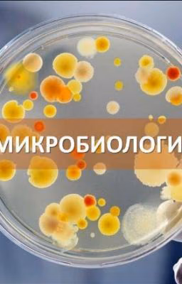 Микробиология (Вау)