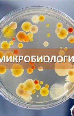 Микробиология (Вау)