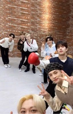 ' reaction ˢᵗʳᵃʸ ᵏⁱᵈˢ