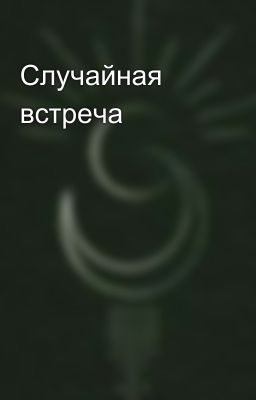 Случайная встреча