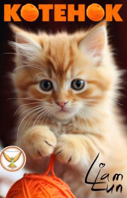 Котенок