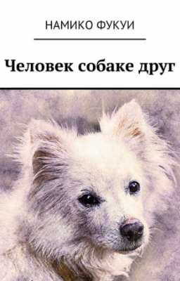 Человек собаке друг