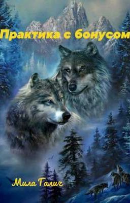 Практика с бонусом
