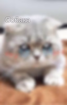 Собака