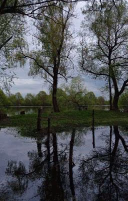 Турбо. А любовь ли это?