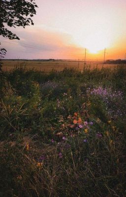 Энергия миров