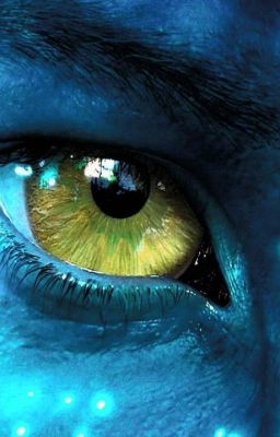 Кровавый след в истории