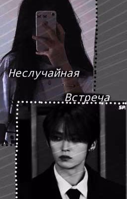 Неслучайная встреча