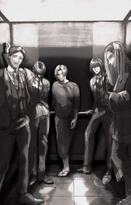 Бонтен - Водит 