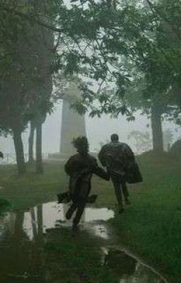 Холод и дождь