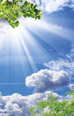 Вино, цветы и конфеты