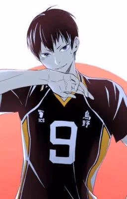История двух волейболистов: Воссоединение. (haikyuu) [Завершён]