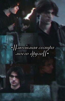 •//любимая сестра моего друга//• (олег шепс и т/и)