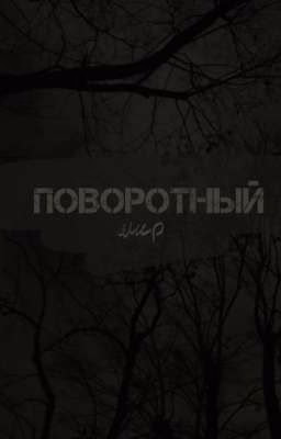 поворотный мир
