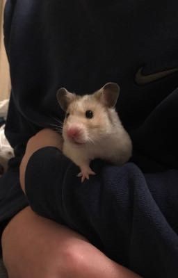 Ужасный монстр 