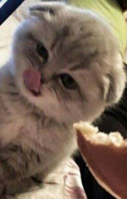 Если  интересно заходи 🙌✊👿