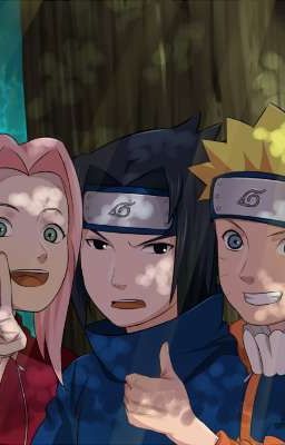 Команда 7 попала ко мне