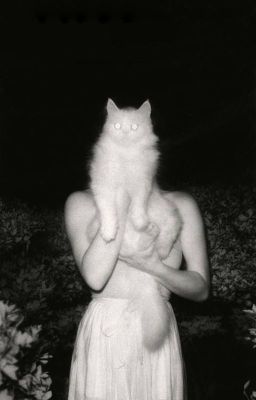 аркан насилия