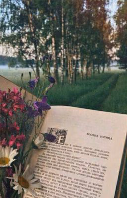 Лучшие книги Wattpad.