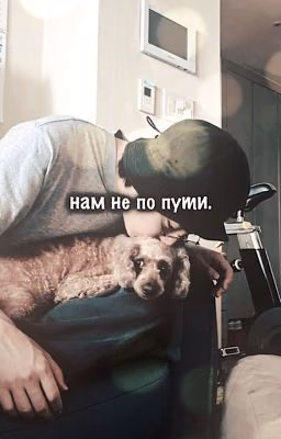 Нам не по пути.
