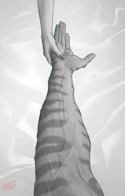 Такие  разные миры