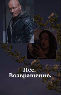 Пёс. Возвращение.