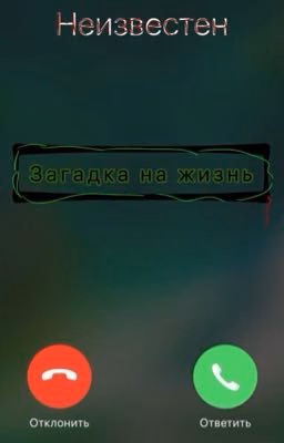 Загадка на жизнь