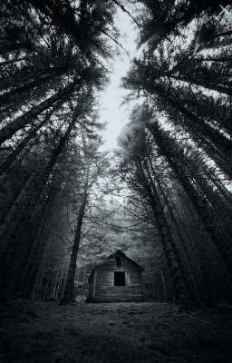 любовь троих похитителей