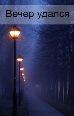 Вечер удался