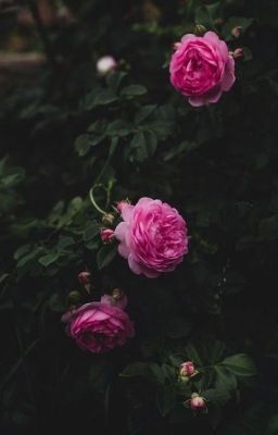 Он, Она и другие люди