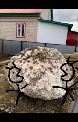 Приключения друзей